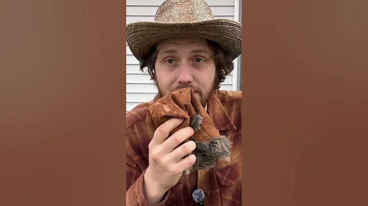 Tanning Furs with Tree Bark #outdoors #traditional #leathercraft #tanning #rabbit