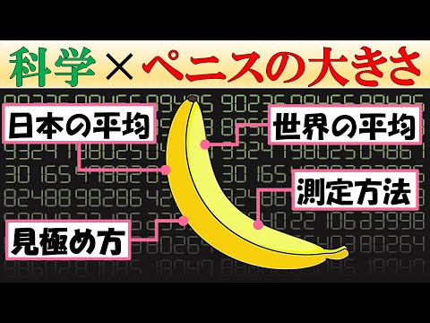 【カラダを知ろう】ペ〇スのサイズについて徹底科学【平均・大きさの見分け方】