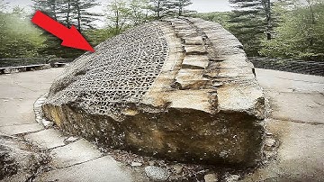 DIT stenen patroon is 300 miljoen jaar oud en zou ons begrip van de geschiedenis kunnen veranderen