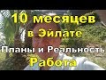 10 месяцев в Эйлате(Израиль). Планы и Реальность, Работа