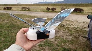 flying bird rc bionic v2
