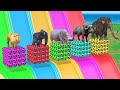 Long slide game with mammoth elephant gorilla buffalo hippopotamus lion  3d animal game
