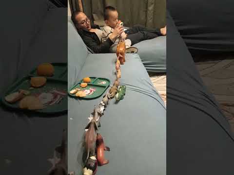 Yunchohang Limbu Babu Lai Sikaudai Gareko 5 11 2025