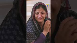 Mehroom 2nd Last Episode 55 Promo | Tonight at 9:00 PM only on Har Pal Geo #mehroom #shorts
