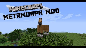 MetaMorph Mod | Minecraft Mod Review (reuploaded)