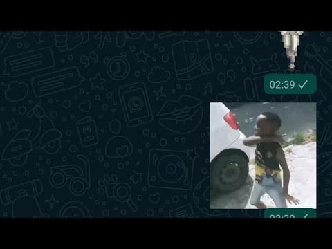 COMO FAZER FIGURINHA ANIMADA COM VÍDEO E GIF PARA WHATSAPP (SEM ROOT) MAIOR  GAMBIRRA EVER 