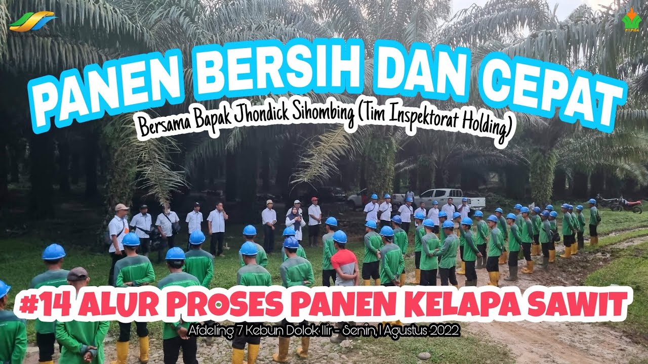 Field Day Project - 14 Alur Proses Panen Bersih dan Cepat