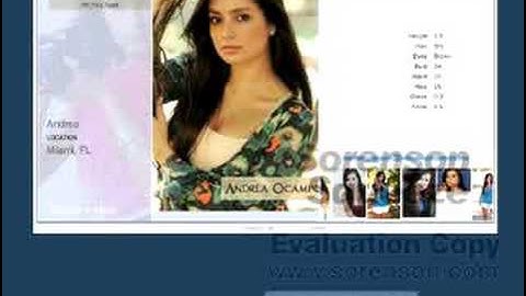 PHP and Flash tutorials