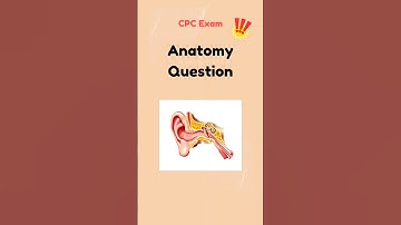 CPC Exam Anatomy frequently asked question. Let