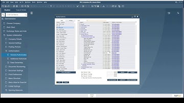 SAP Business One 10.0 - Administration