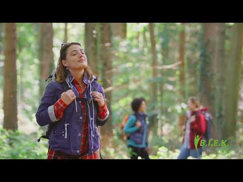 Resilienztraining beim Wandern