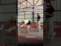 Trikonasana alignment #yogastyle #yogaprakriya #alignment #hathayoga #shorts