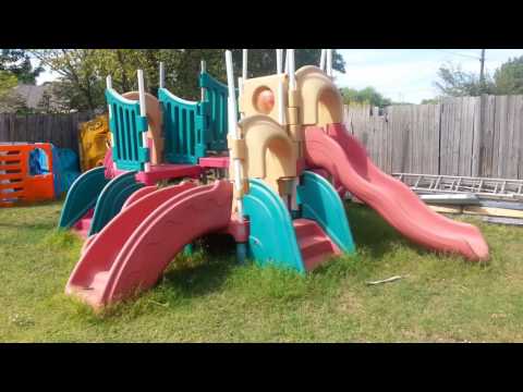 Messing with wasps