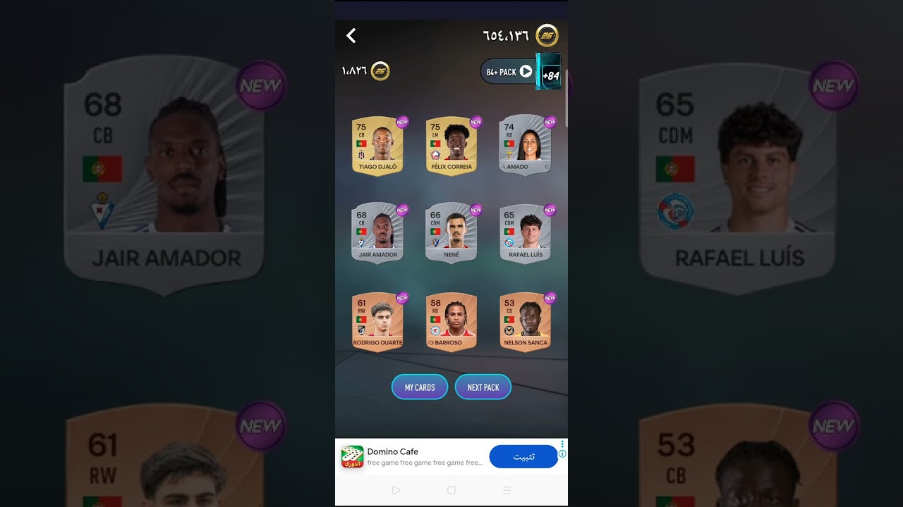 ١١ يناير ٢٠٢٦