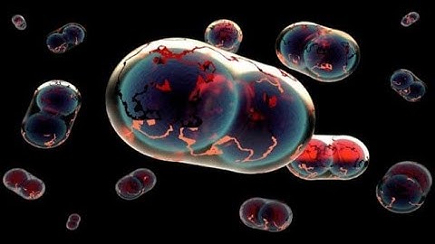 10 Deadly Viruses And Bacteria Created In Labs