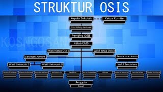 CONTOH STRUKTUR ORGANISASI OSIS SEKOLAH