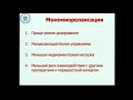 Классификация МР Лебединский К.М