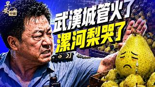 上海降雨破154年紀錄！「白海豚」走出罕見路線；長征七號升空85秒出事；武漢3城管協管員被刑拘； #早安中國 08.10.2026