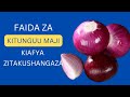 KITUNGUU MAJI Je Ni Zipi Faida Zake Kiafya