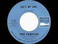 1967 hits archive shes my girl  turtles mono