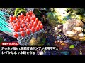 【無職サバイバル】沢の水が枯れて連結灯油ポンプが使用不可...わずかな水で水路を作る【限界集落で無職になる＃44】