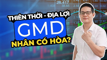 CỔ PHIẾU GMD – THIÊN THỜI, ĐỊA LỢI, NHÂN CÓ HÒA | TIÊU ĐIỂM ĐẦU TƯ | VNDIRECT - DINSIGHTS