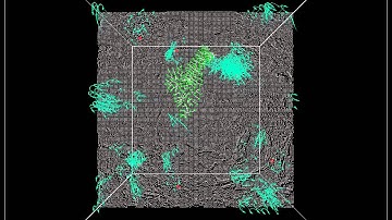 Slime Mold Simulation - Clustering_01