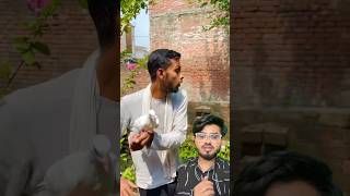 Kabuter Ne Sar Footne Se Bacha Liya 😲 #pigeon #reaction #shorts #short #skpigeonloft