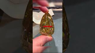 The Most Insane Price Tag In Pawn Stars History! 😱