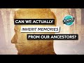 Can We Inherit Memories From Our Ancestors? Is Genetic Memory Real?