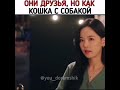 💜 Они друзья,но как кошка с собакой🤣💜🎞‼ Мой сосед кумихо