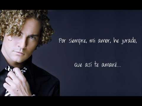 Para Enamorarte De Mí - David Bisbal (con letra)