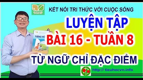 Tuần 8 Bài 16 Luyện tập: Từ ngữ chỉ đặc điểm Trang 68 | Tiếng Việt 2 Sách Kết nối tri thức
