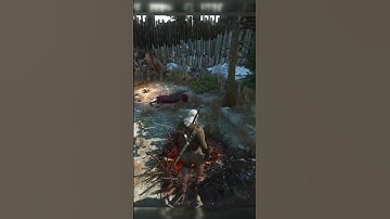 Witcher Bomb Glitch. Cant Move