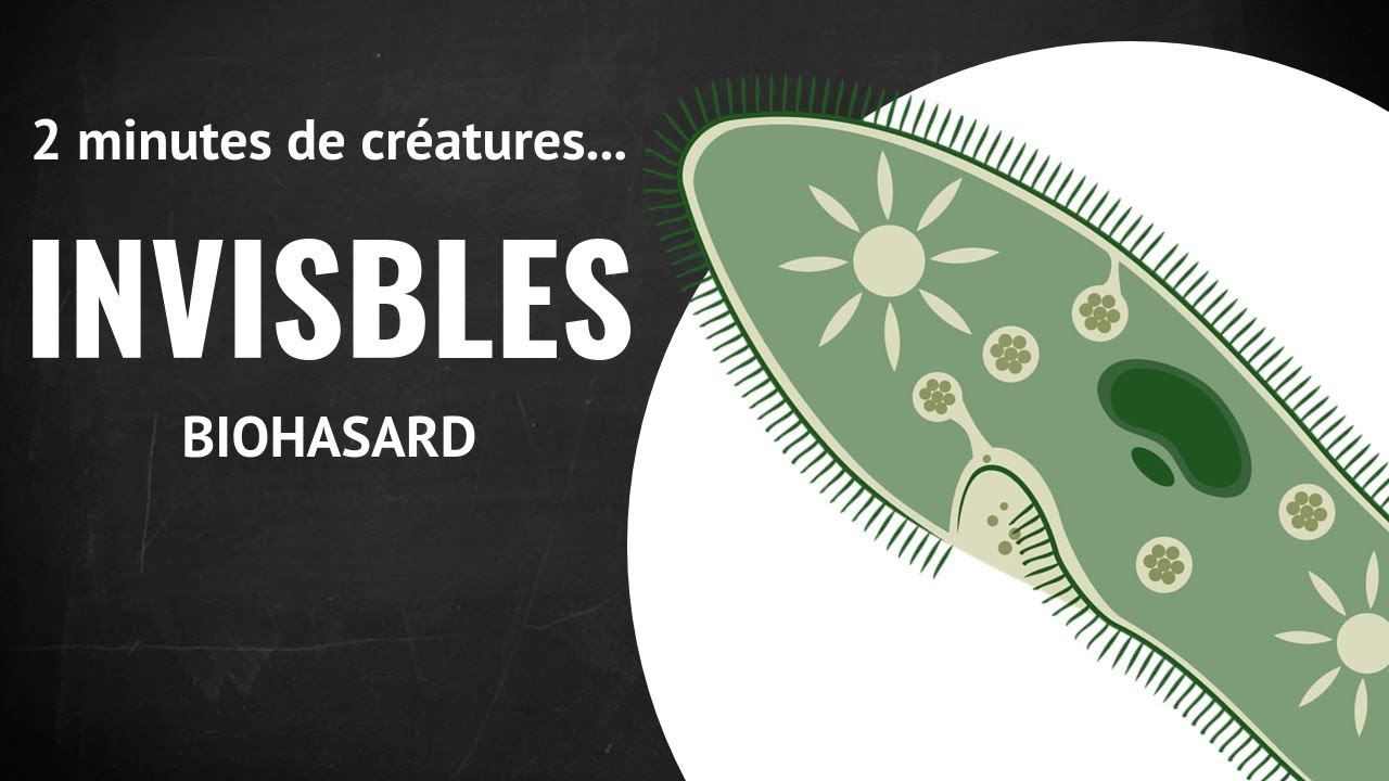 Les créatures invisibles - 2 minutes de microbes !