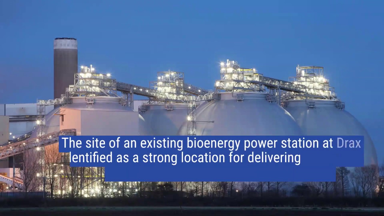 Finding the win-wins for bioenergy with carbon capture and storage ...