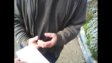 Professional Process Servers Elk Grove CA (800) 683-4769