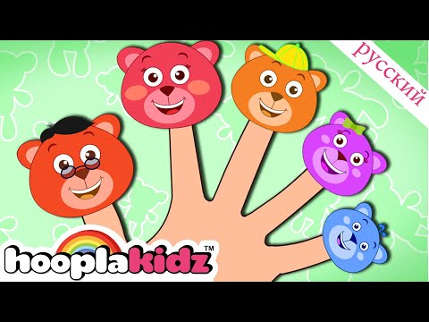 Видео: Медведь Палец Семья | Песня для малышей | Finger Family Collection | HooplaKidz Russian