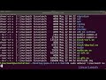Middle of video