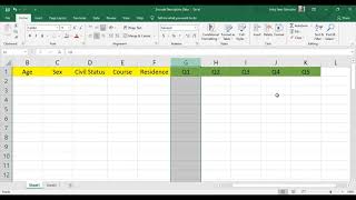 Encode Your Data on Excel File (Descriptive Research)