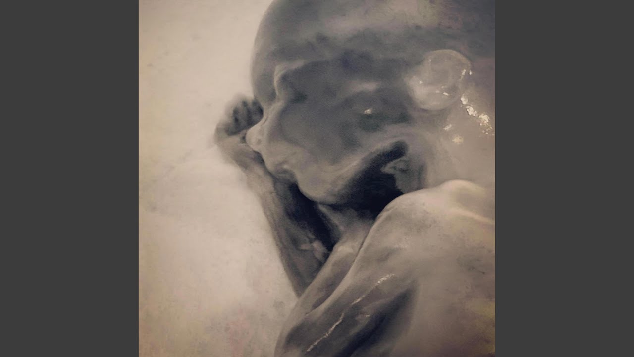 Forest Fire auf YouTube ansehen Forest Fire auf YouTube ansehen