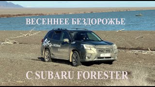 На Subaru Forester в Алтын Эмель 2024. Весеннее бездорожье от Subaru Kazakhstan. Астана Моторс