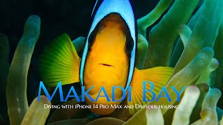 🤿 Amazing Underwater World In Makadi Bay (Iphone 14 Pro Max With Divevolk Housing)