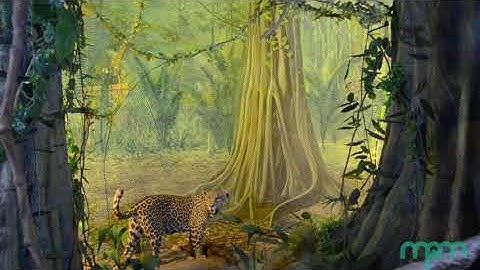 MPM Community of Curiosity