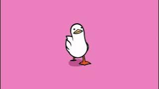 Changing Colour Waddling Duck, Life Goes on Music, Live Wallpaper, 1080p, 60fps, #shorts