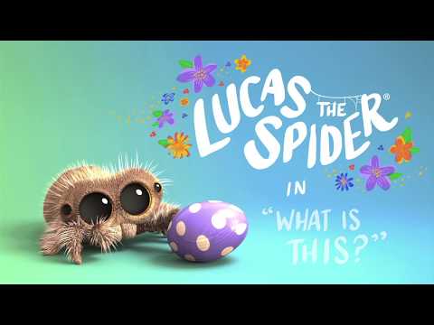 Lucas The Spider – What Is This?