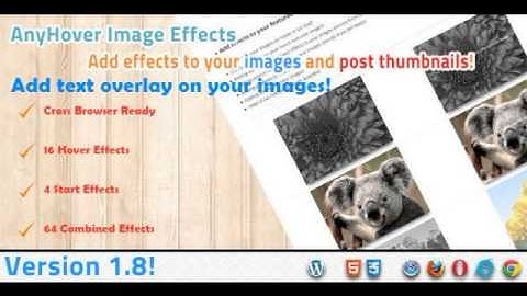 Preview Anyhover Image Effects WordPress