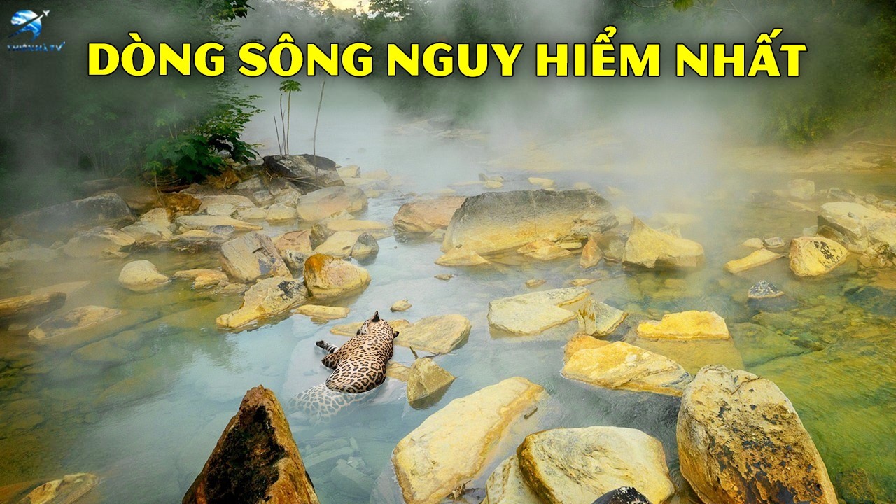 Dòng Sông Này Có Thể Lấy Mạng Bạn Trong 10 Giây - Những Dòng Sông Kỳ Lạ Nhất Thế Giới | Thiên Hà TV