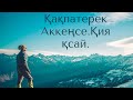 Кенегес шежіресі тусаукесер.