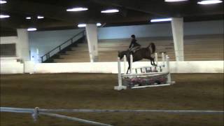 140510 Cascade - Very Low Working Hunter 2 to 2 3